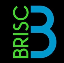 Brisc Plumbing, LLC Logo